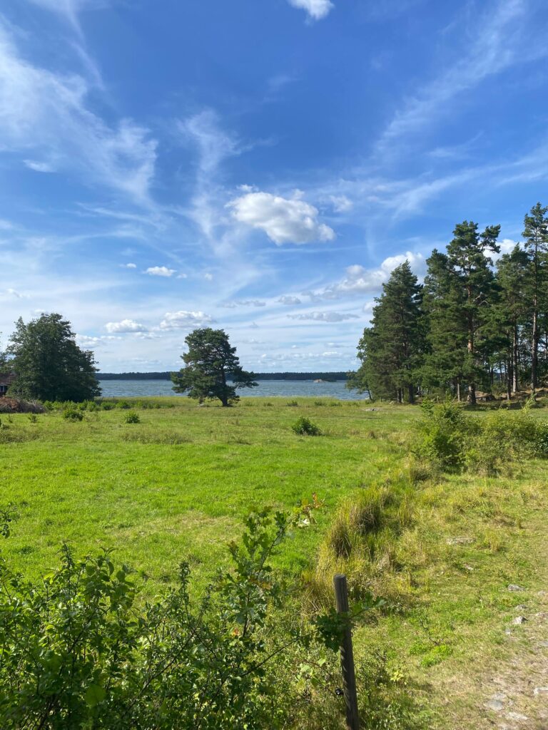 Schwedische Natur mit See